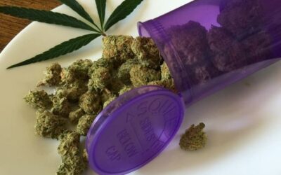 Qu’est-ce que le cannabis